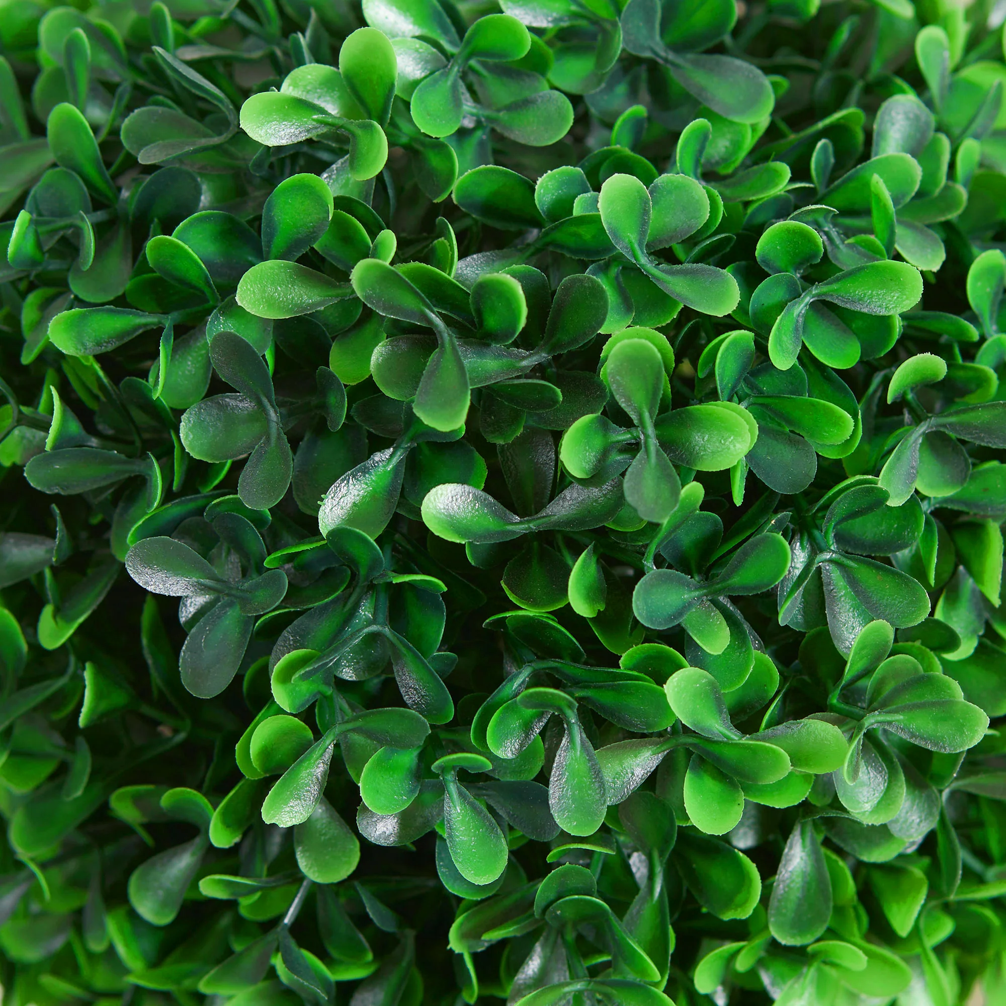 2 Pcs 23.5" Artificial Boxwood Ball Topiary Tree, Fake Plants in Pot, Ball Shaped Leaves - Image 9